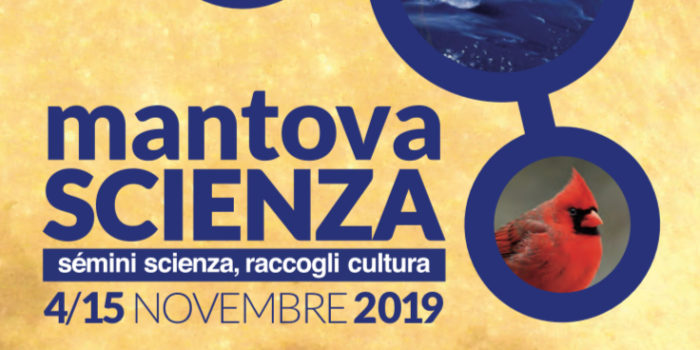 notizia