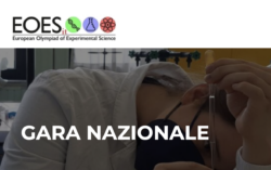 notizia